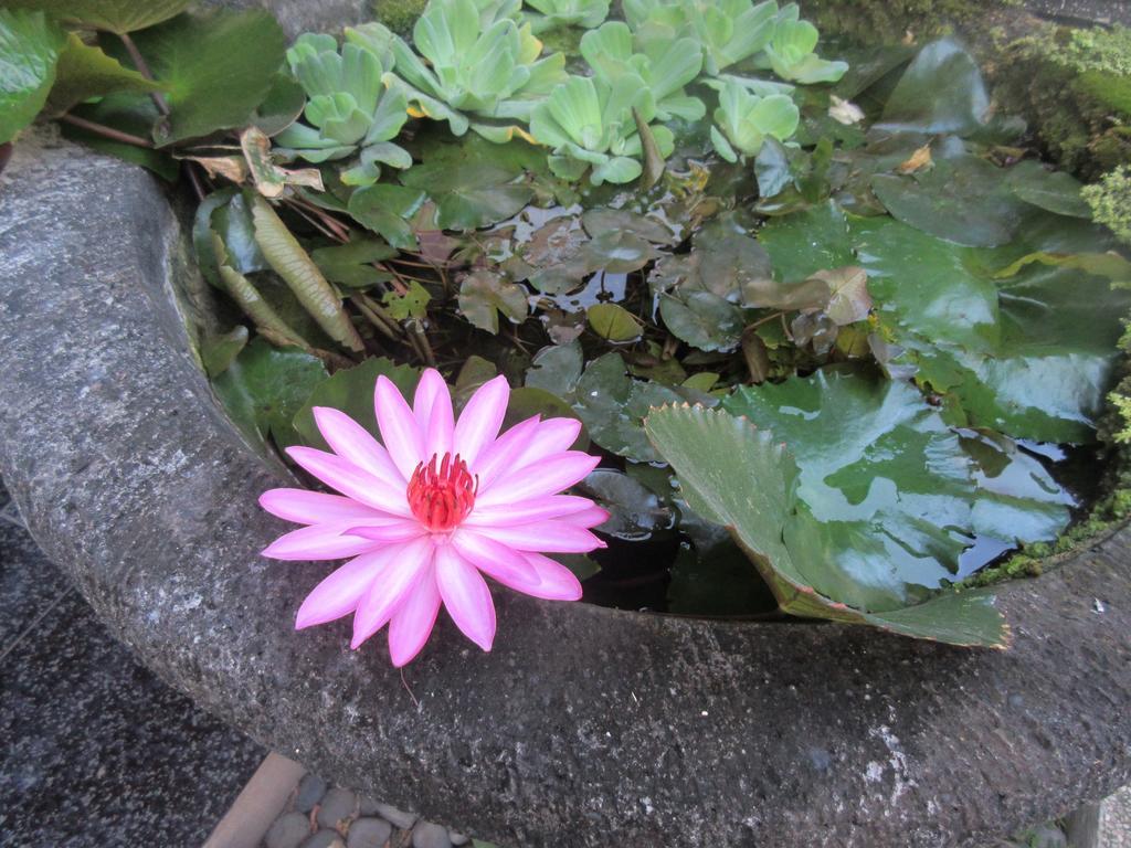 Rika Sanur Homestay Exterior photo